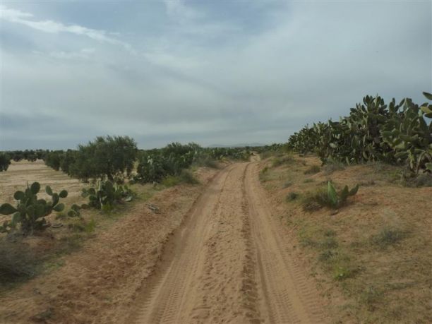 Foto da un viaggio in Tunisia, reportage del deserto