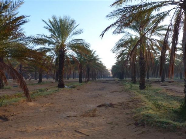 Foto da un viaggio in Tunisia, reportage del deserto