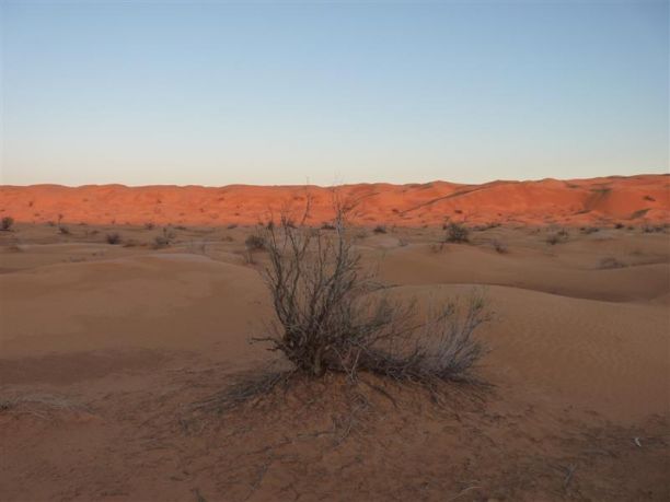 Foto da un viaggio in Tunisia, reportage del deserto