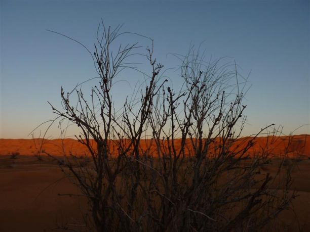 Foto da un viaggio in Tunisia, reportage del deserto
