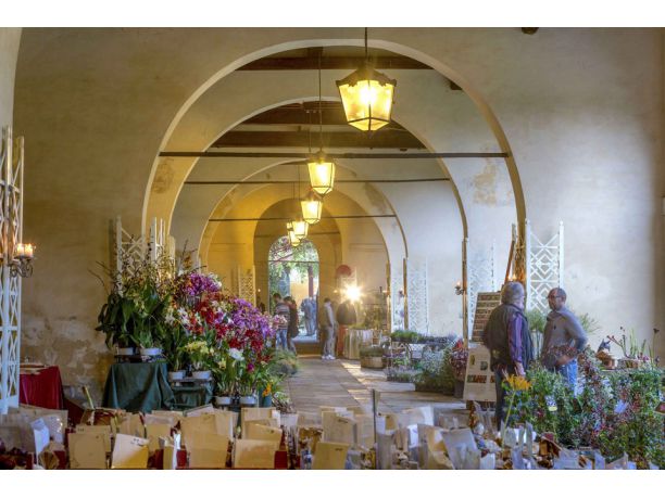 Giardinity 2015: l’evento per tutti gli esperti e appassionati di gardening