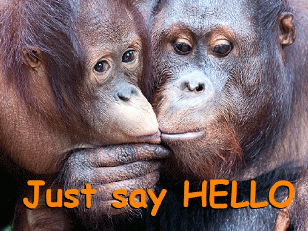 Helen Doron English: il progetto benefico Hello My World!