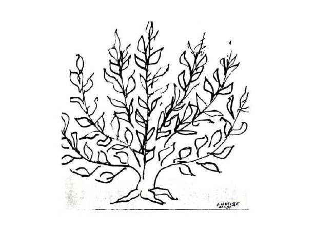 Henri Matisse Brush Drawings, mostra a Le Cateau-Cambrésis