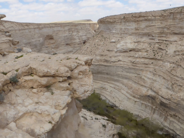 Israele e il deserto del Negev