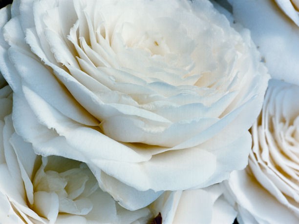 Novità creme Hydra Beauty by Chanel