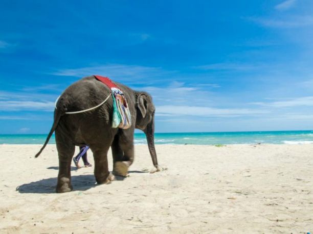 Asia: le foto più spettacolari