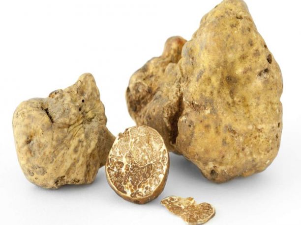 San Miniato, percorso nel borgo e nella tradizione del tartufo toscano