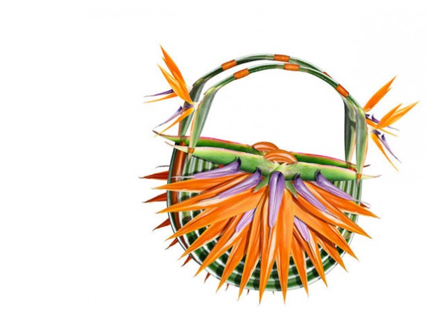 ShoesFleur, le ‘scarpe-fiore’ di Michel Tcherevkoff