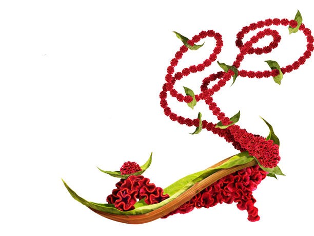 ShoesFleur, le ‘scarpe-fiore’ di Michel Tcherevkoff