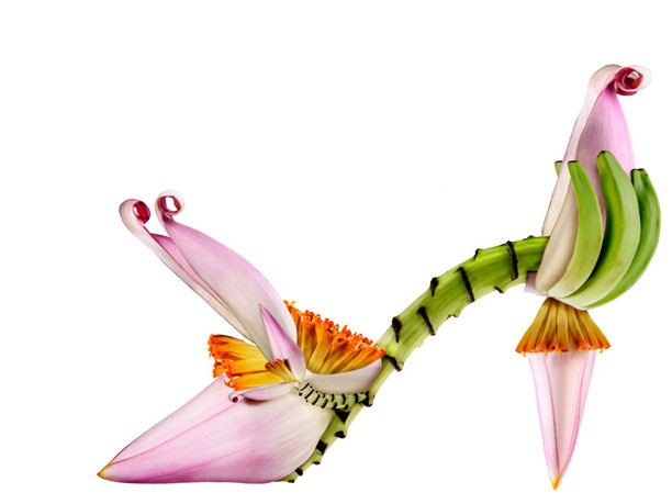 ShoesFleur, le ‘scarpe-fiore’ di Michel Tcherevkoff