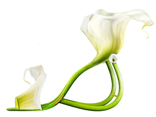 ShoesFleur, le ‘scarpe-fiore’ di Michel Tcherevkoff