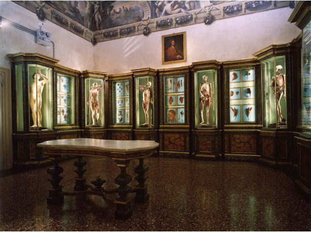 La notte dei Musei 2014: tutte le info utili