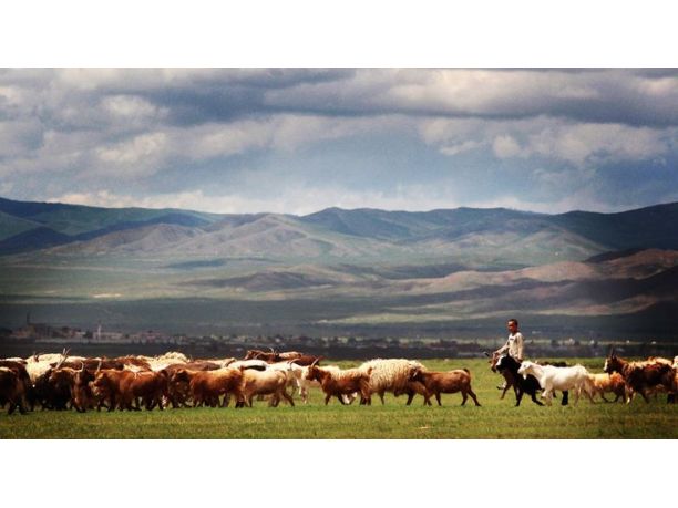 Trekking in Mongolia sulla catena degli Altai