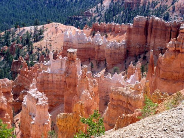 Viaggio coast to coast negli USA