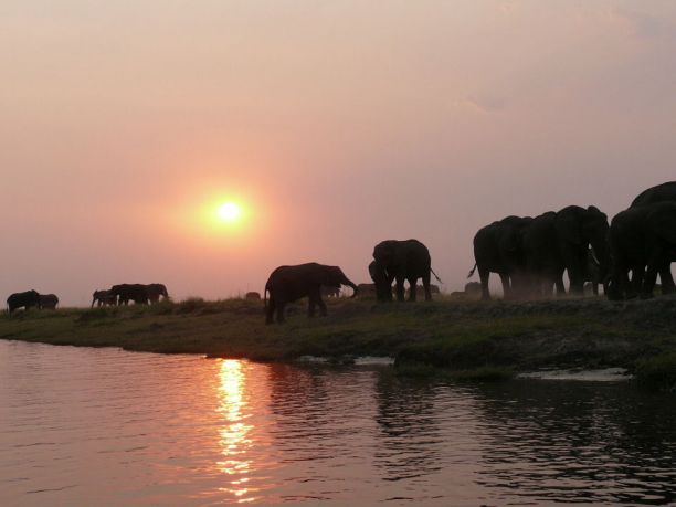 Viaggio in Botswana: safari e avventura nei campi tendati