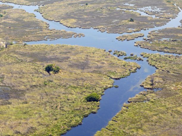 Viaggio in Botswana: safari e avventura nei campi tendati