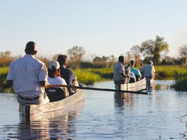 Viaggio in Botswana: safari e avventura nei campi tendati