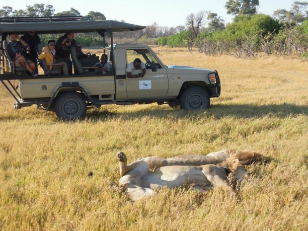 Viaggio in Botswana: safari e avventura nei campi tendati