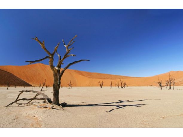 Viaggio in Namibia: tra safari, deserto, archeologia e fotografia