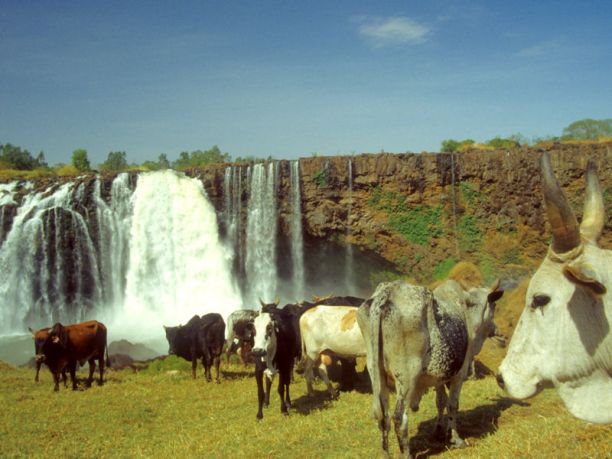 Viaggio per la Pasqua Copta in Etiopia